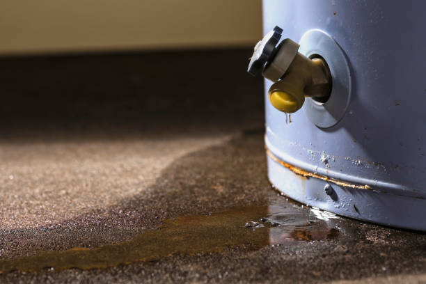 Best Local water damage restoration  in Groton, SD