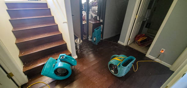 Best Sewage cleanup and water damage restoration  in Groton, SD