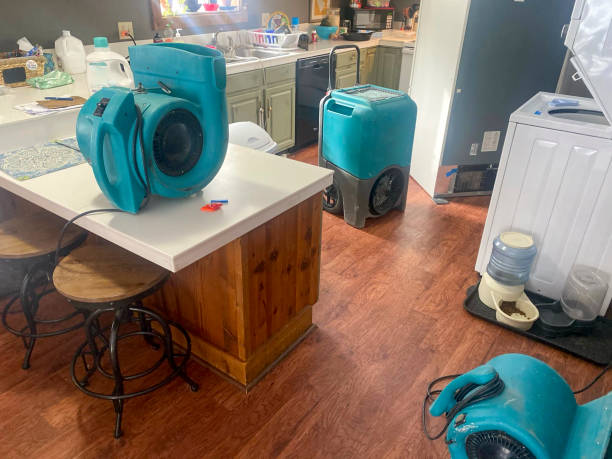 Best Local water damage restoration  in Groton, SD