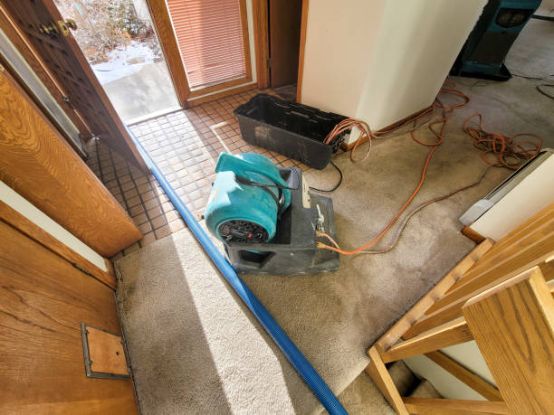 Best Flood damage cleanup  in Groton, SD