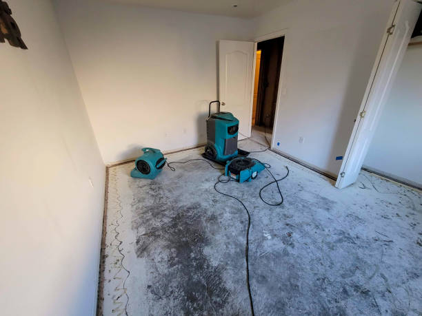 Best Professional water damage repair  in Groton, SD