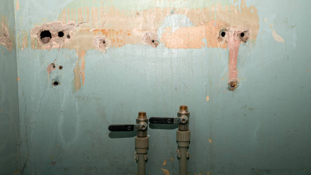 24/7 water damage repair in SD